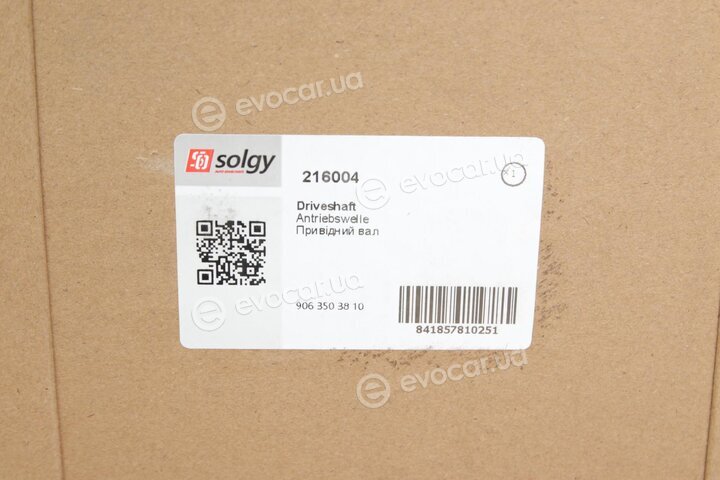 Solgy 216004