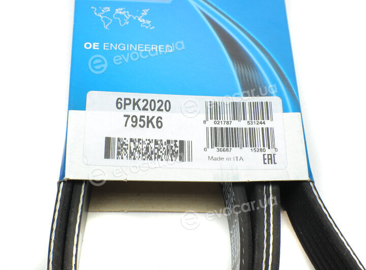 Dayco 6PK2020