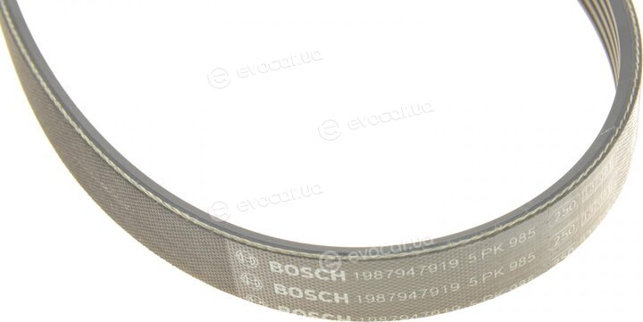 Bosch 1 987 947 919