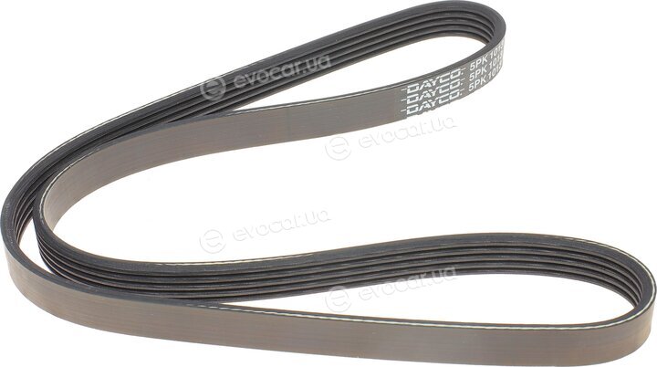Dayco 5PK1013HD