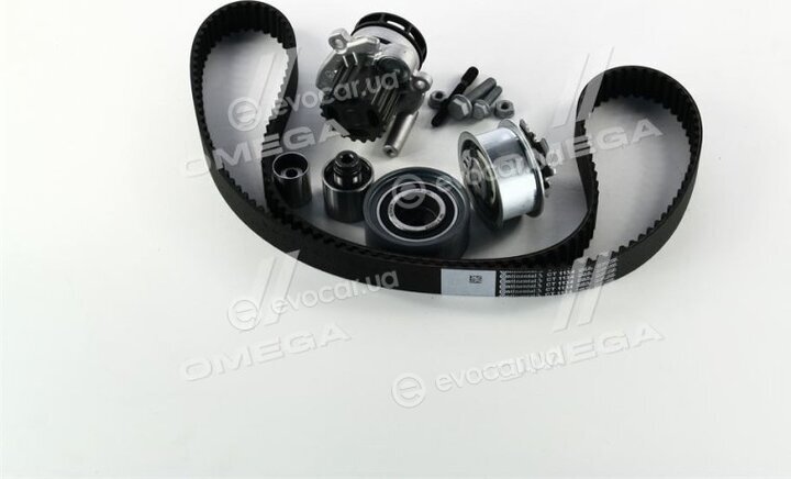 Continental CT1134WP1
