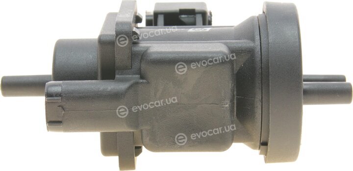 Solgy 402003