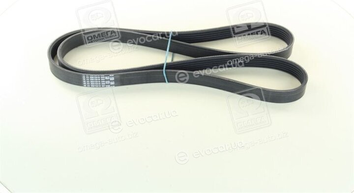 Continental 6PK1548