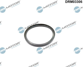 Dr. Motor DRM03306