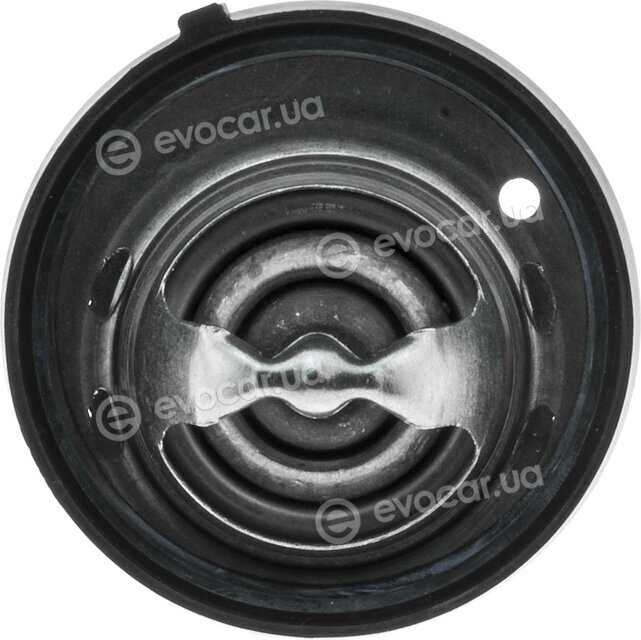 Motorad 565795
