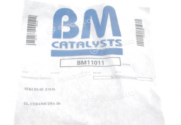 BM Catalysts BM11011