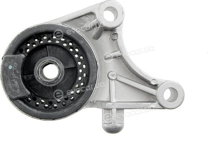 NTY ZPS-PL-036