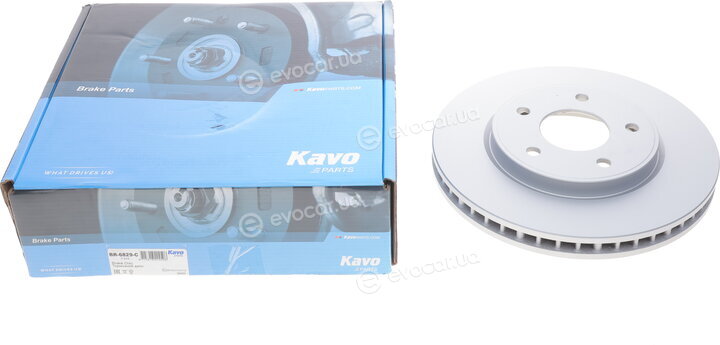 Kavo BR-6829-C