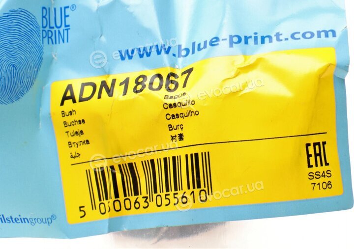 Blue Print ADN18067