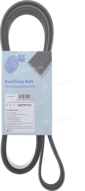 Blue Print AD07R1810