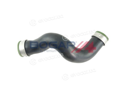 Bogap A1711290