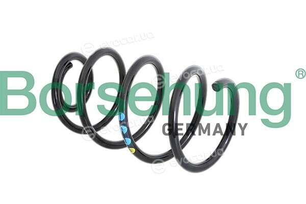 Borsehung B11089