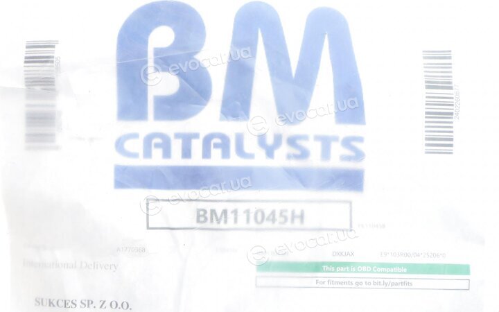 BM Catalysts BM11045H