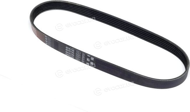 Gates 6PK720