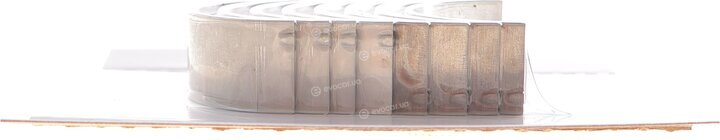 Motive B7059STD