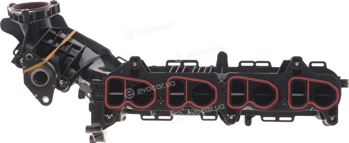 Solgy 114266