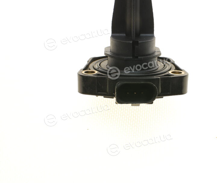 AIC 71447