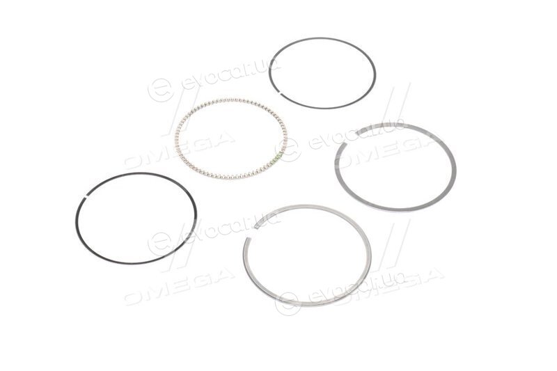 Mahle 011 69 N0