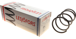 Lesjofors 4055410