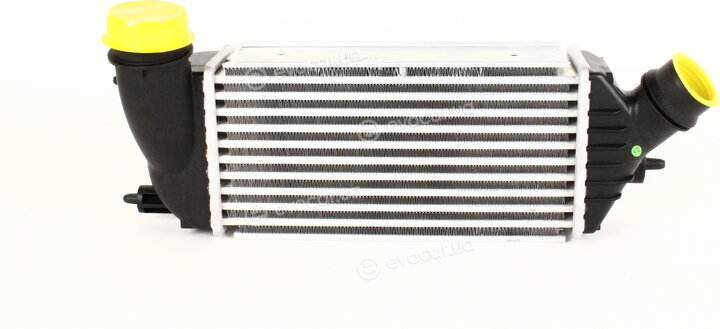 Kale 350860