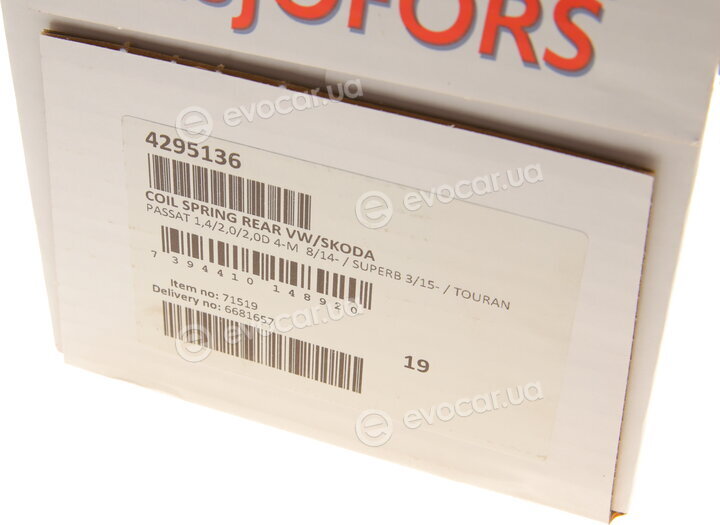 Lesjofors 4295136