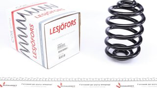 Lesjofors 4208419