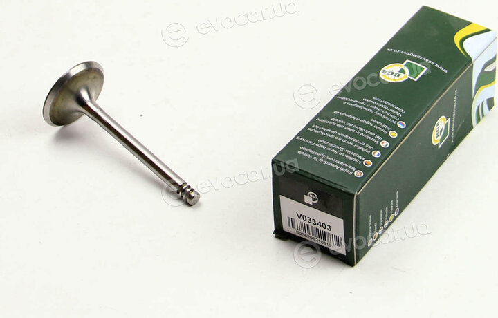 BGA V033403