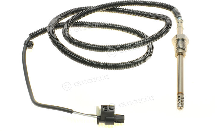 Solgy 115034