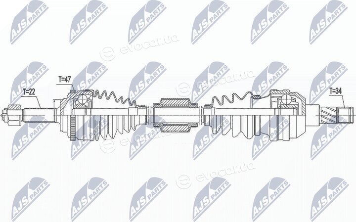 NTY NPW-DW-041