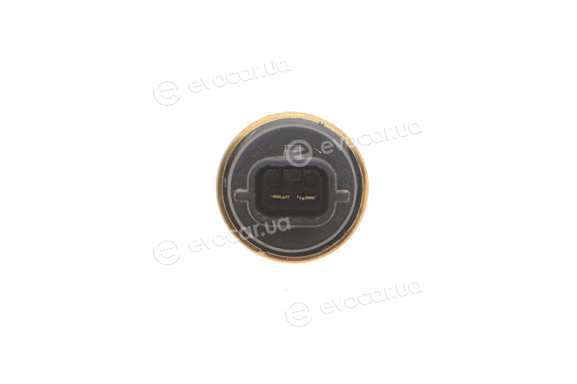 Delphi TS10458