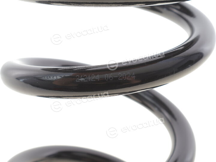 Solgy 212124