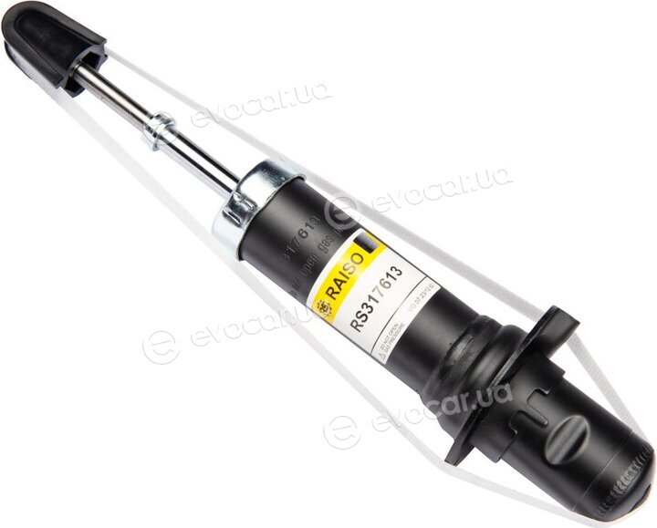 Raiso RS317613