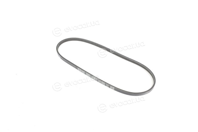 Dayco 3PK798EE