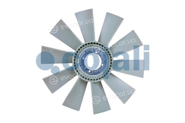Cojali 7037130