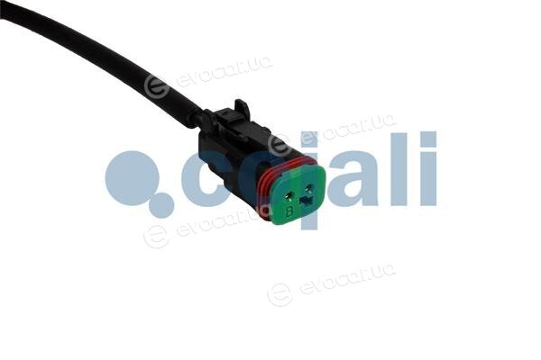 Cojali 2261031