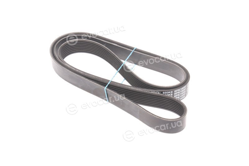 Dayco 8PK1650