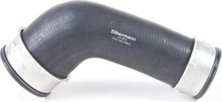 Zilbermann 04-603