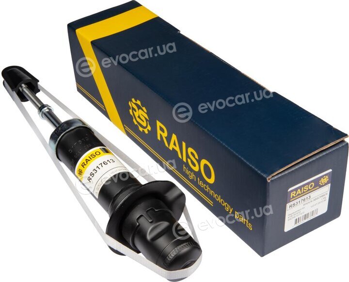 Raiso RS317613