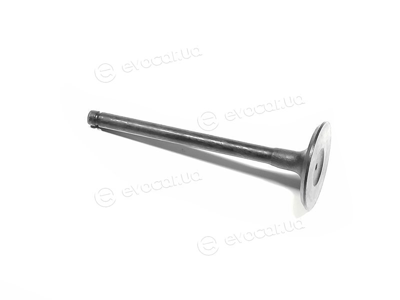 Freccia R6117/SNT