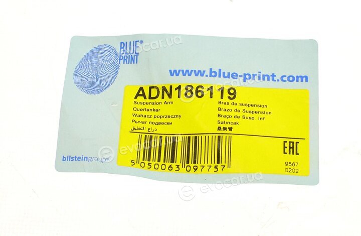 Blue Print ADN186119