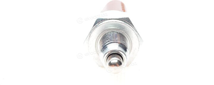Borsehung B18006