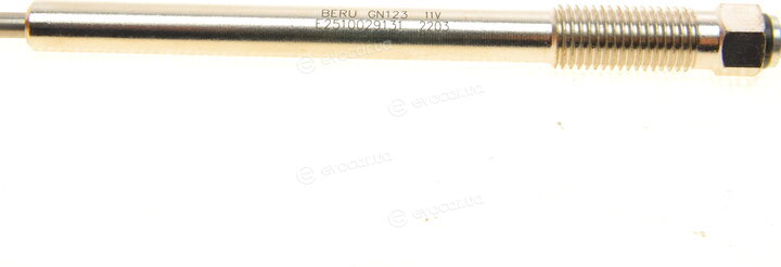 Beru GN123