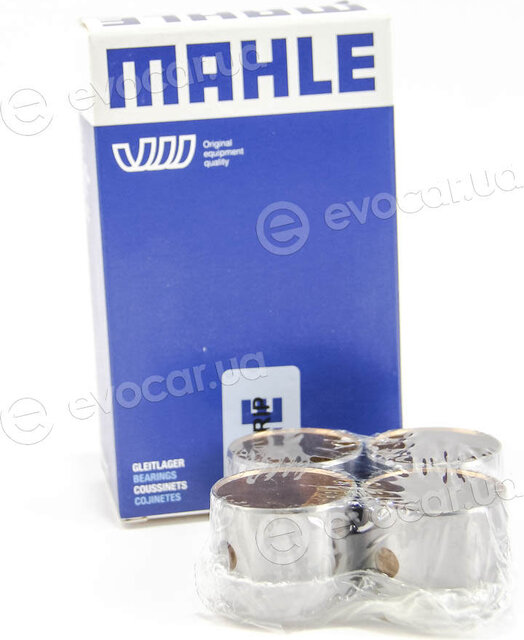 Mahle 021 BS 20295 300