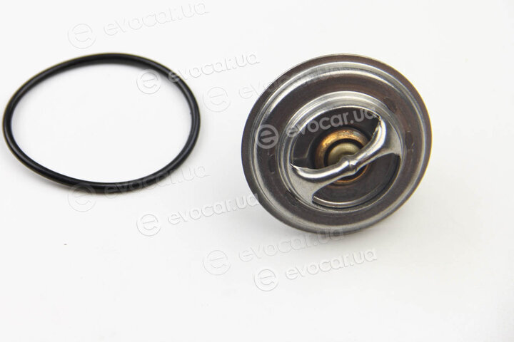 Motorad 304-77K