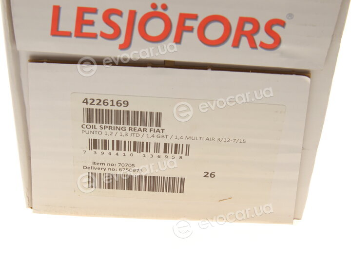 Lesjofors 4226169