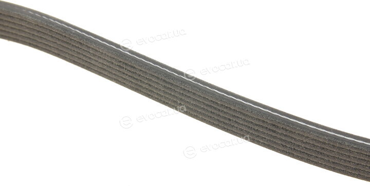 Dayco 6DPK1698