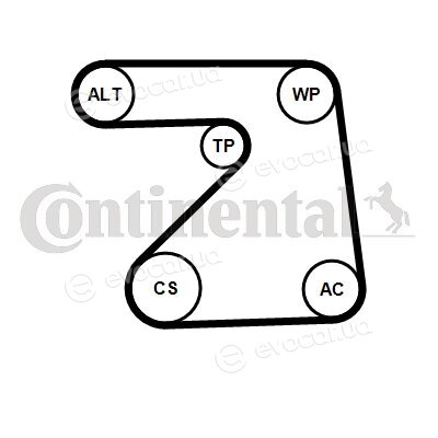 Continental 5PK1334K1