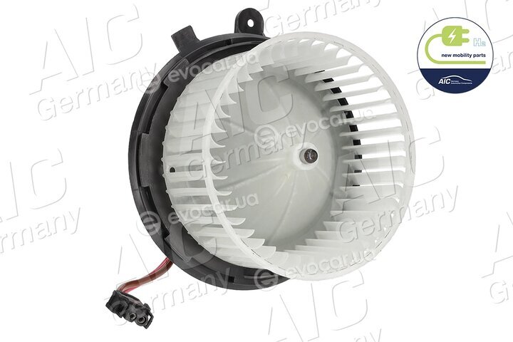 AIC 55365