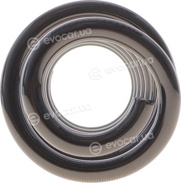 Eibach R10291