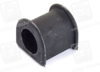 RBI T21RV01F